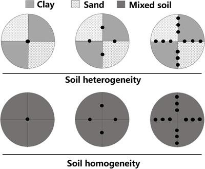 Does Soil Nutrient Heterogeneity Improve the Growth Performance and Intraspecific Competition of the Invasive Plant Myriophyllum aquaticum?